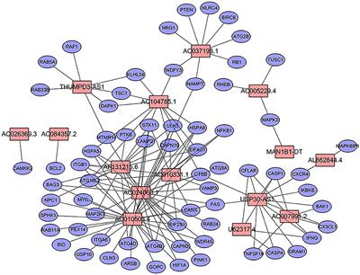 Autophagy-Related Long Non-coding RNA Is a Prognostic Indicator for Bladder Cancer